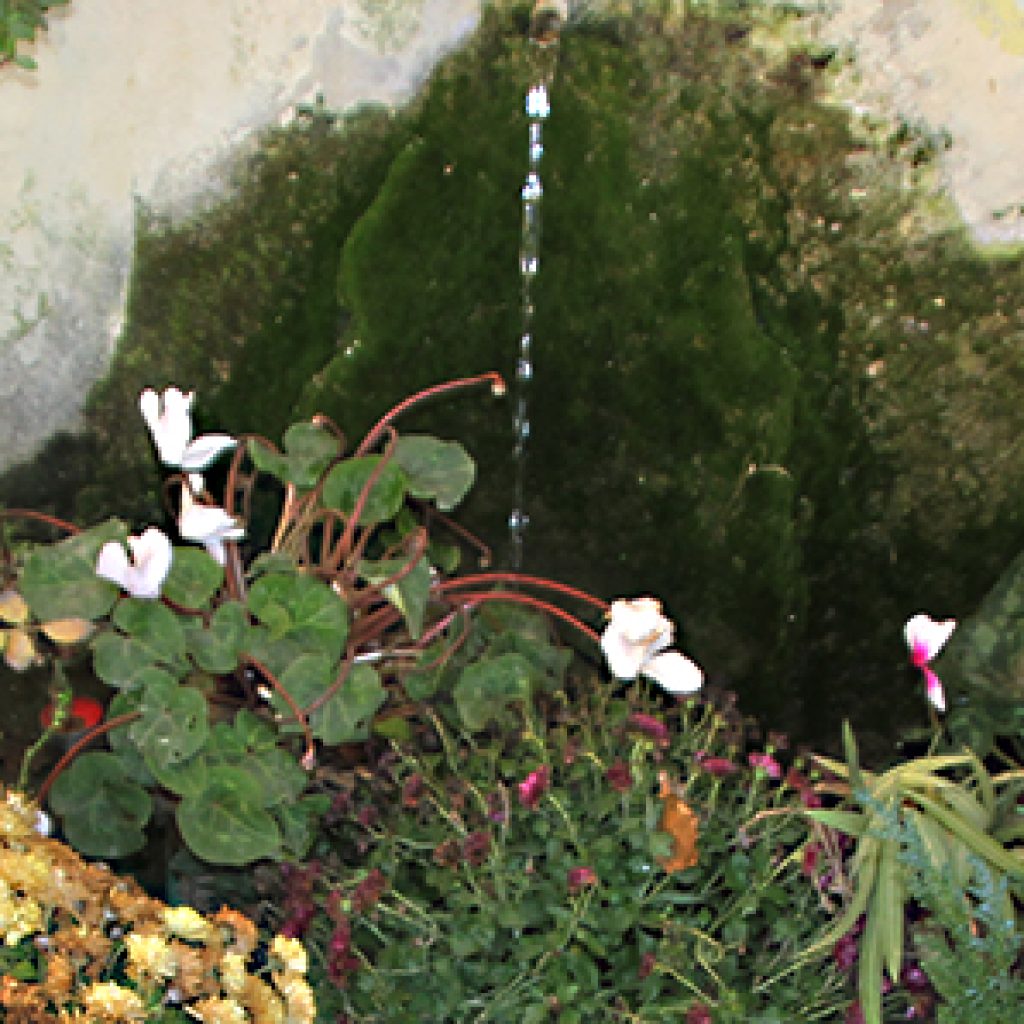 31 PELERINAGE DE PIBRAC maison de ste germaine 79074